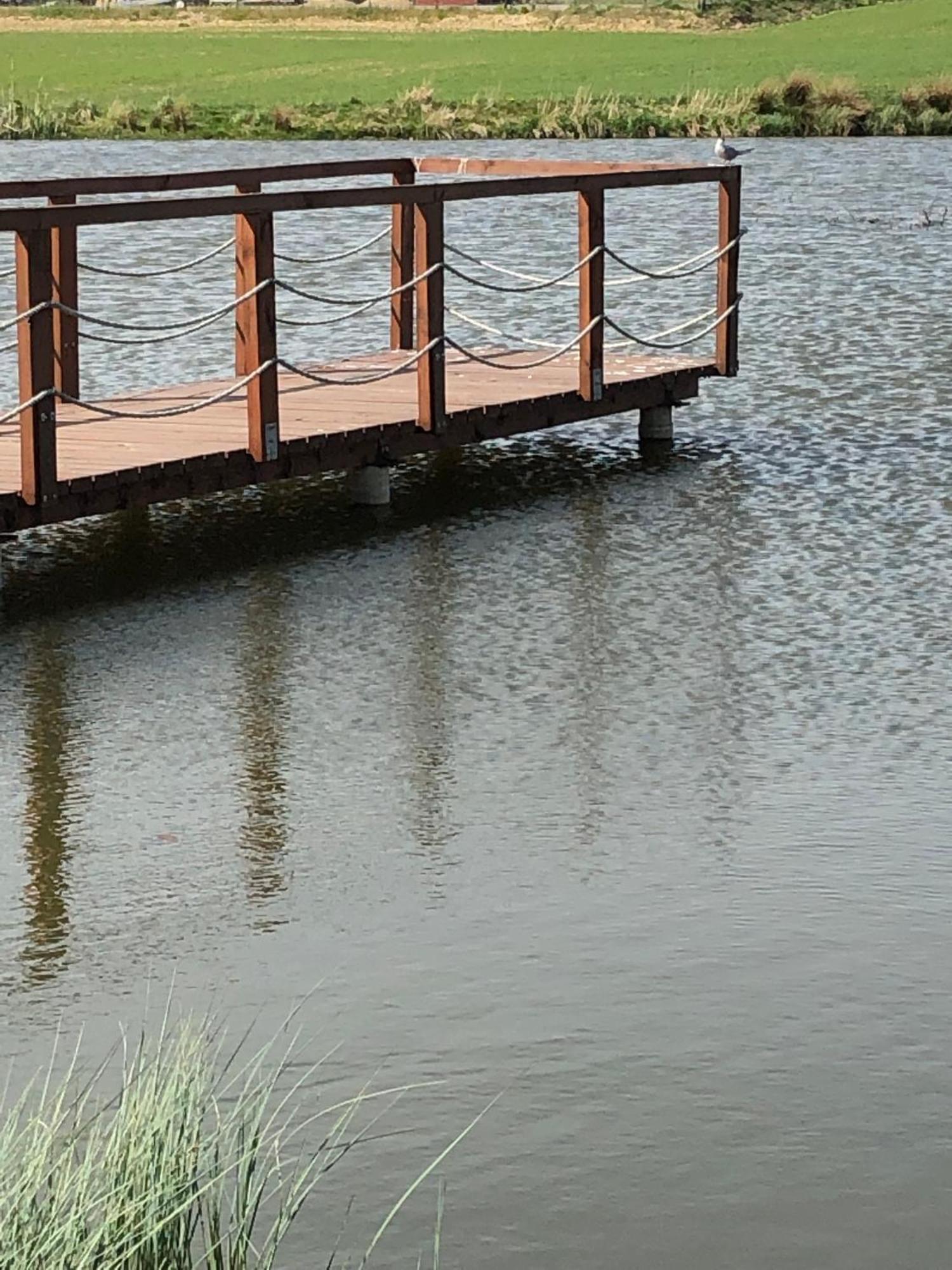 Agro Nad Stawem Villa Żukowo Buitenkant foto